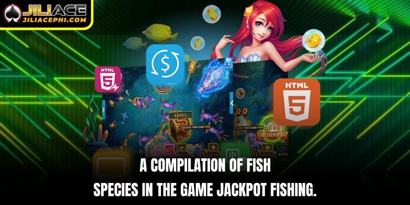 A compilation of fish species in the game Jackpot Fishing.
