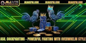 Asil Cockfighting – A powerful fighting with overwhelm style