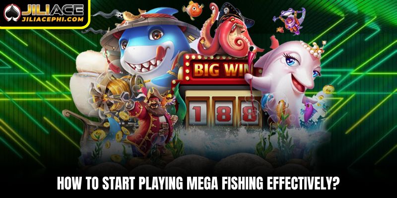 How to start playing Mega Fishing effectively?