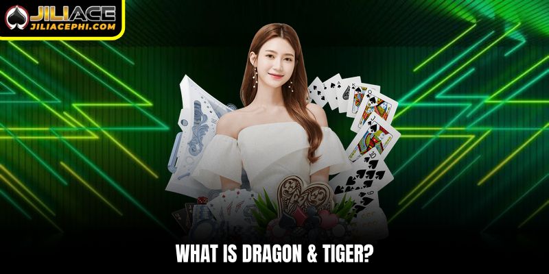 What is Dragon & Tiger?