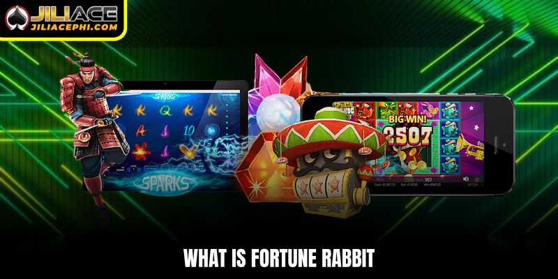 What is Fortune Rabbit