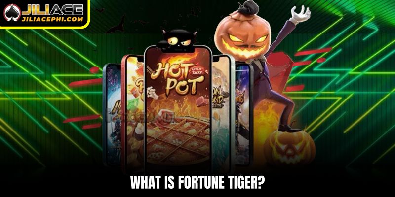 What is Fortune Tiger?