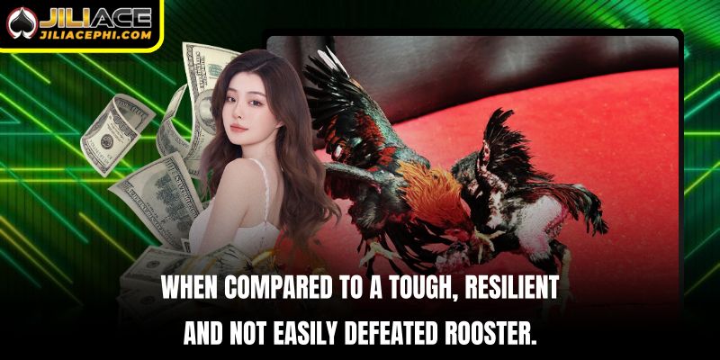 When compared to a tough, resilient, and not easily defeated rooster.